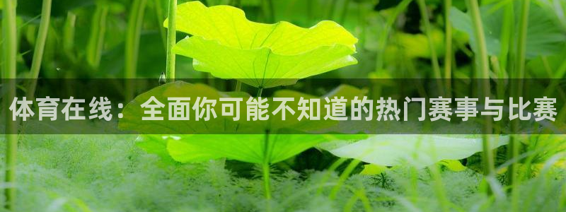 体育在线：全面你可能不知道的热门赛事与比赛