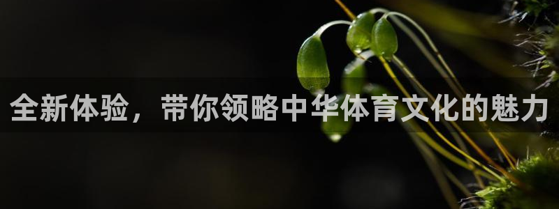 全新体验，带你领略中华体育文化的魅力