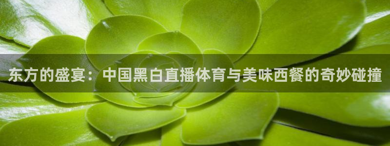 东方的盛宴：中国黑白直播体育与美味西餐的奇妙碰撞
