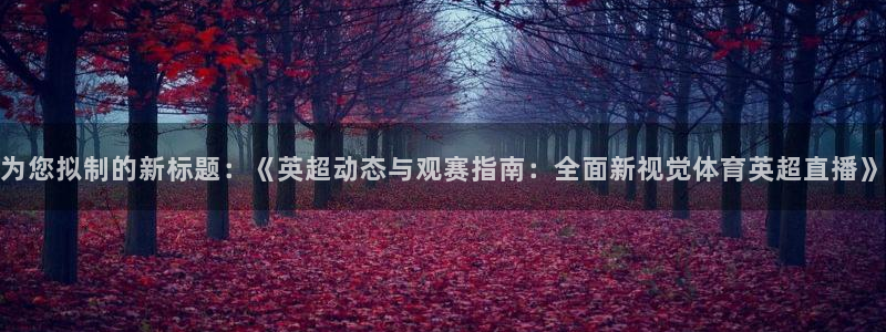 为您拟制的新标题：《英超动态与观赛指南：全面新视觉体育英超直播》